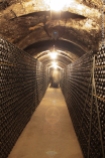 In the cellar of Recaredo